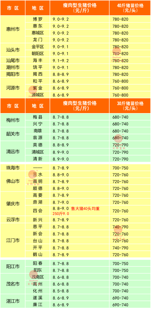 2月4日广东猪价