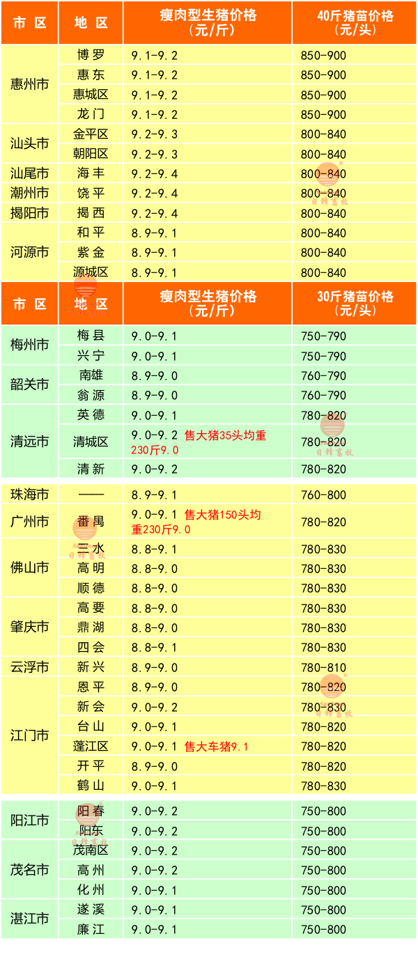 2月16日广东猪价