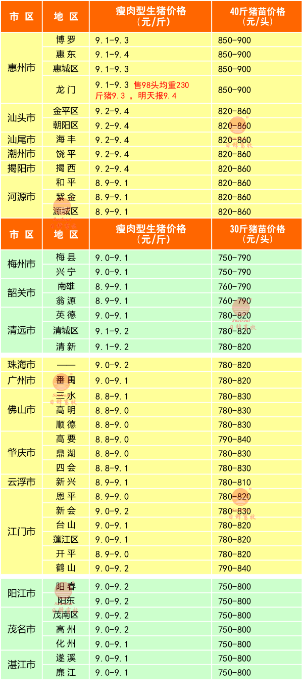 广东猪价