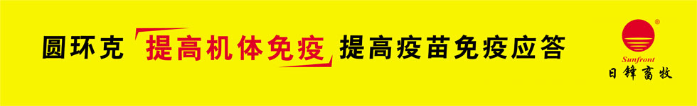 圆环克，提高机体免疫，提高疫苗应答，使猪圆环病毒病、猪蓝耳病毒病、皮炎肾病综合征迅速康复