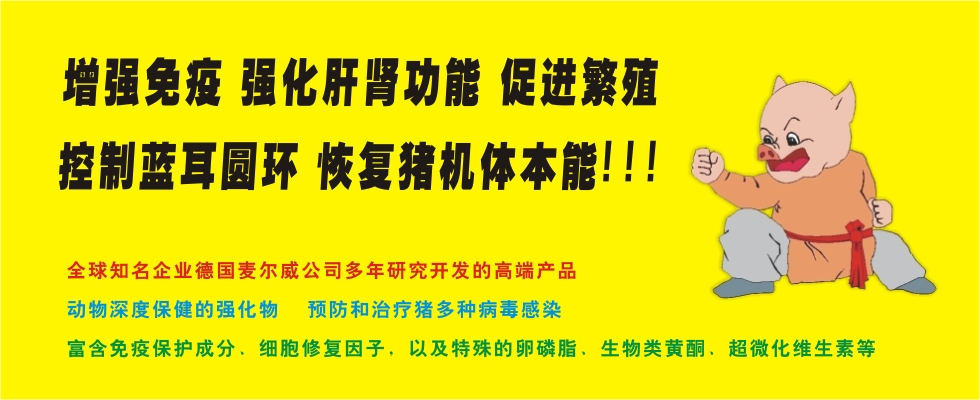 德国麦尔威圆环克，治疗猪圆环病毒病，猪蓝耳病毒病，猪皮炎肾病综合征，增强肝肾功能，促进繁殖，提高免疫力